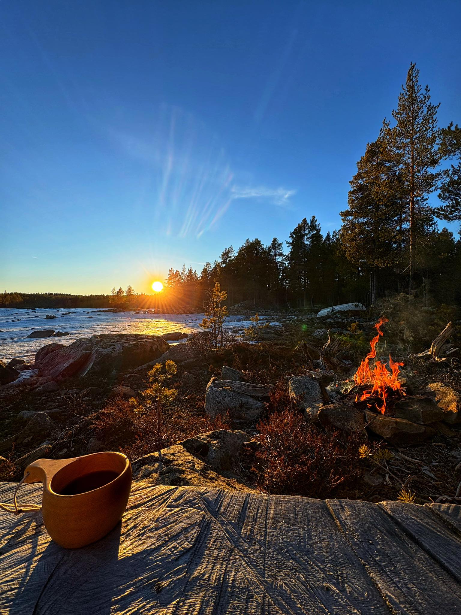 MILJØRINGEN SA